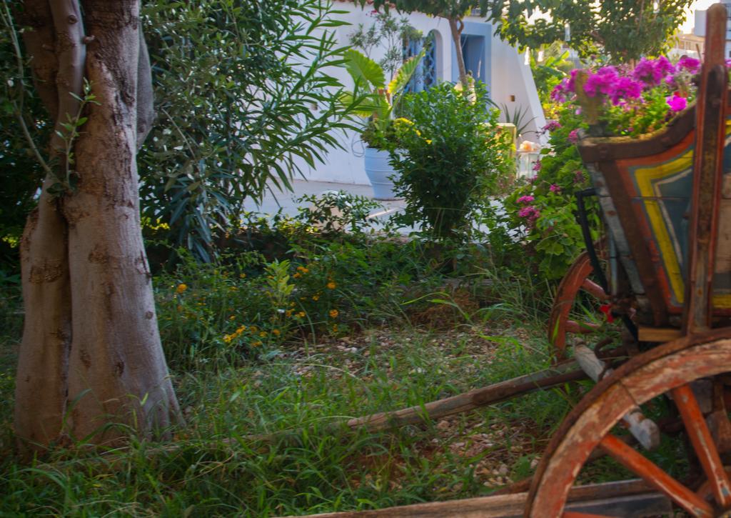 Aggello Boutique Hotel Stalís Luaran gambar